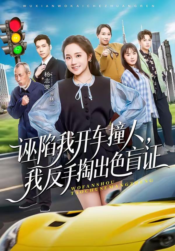 诬陷我开车撞人，我反手掏出色盲