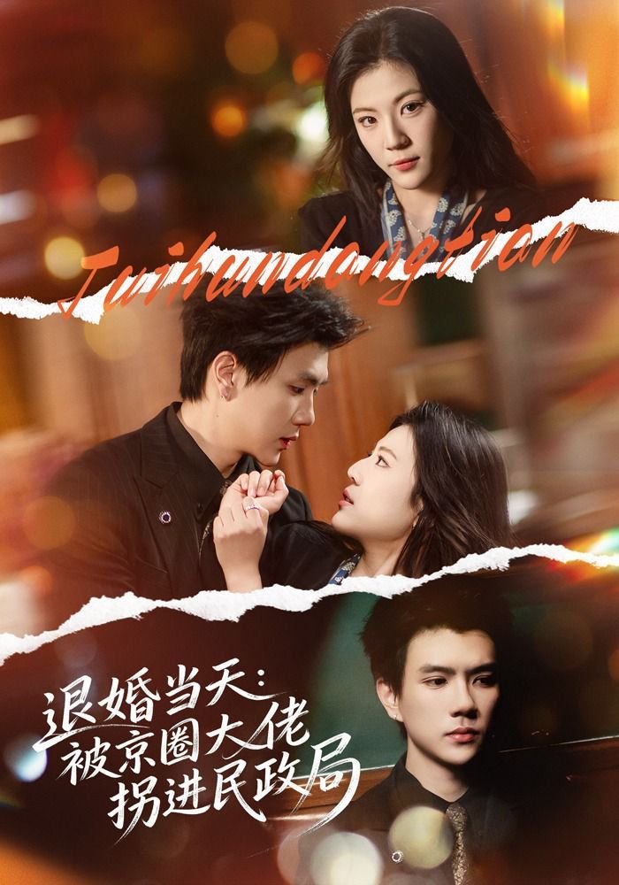 退婚当天:被京圈大佬拐进民政局