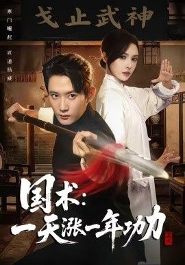 国术，一天涨一年功力