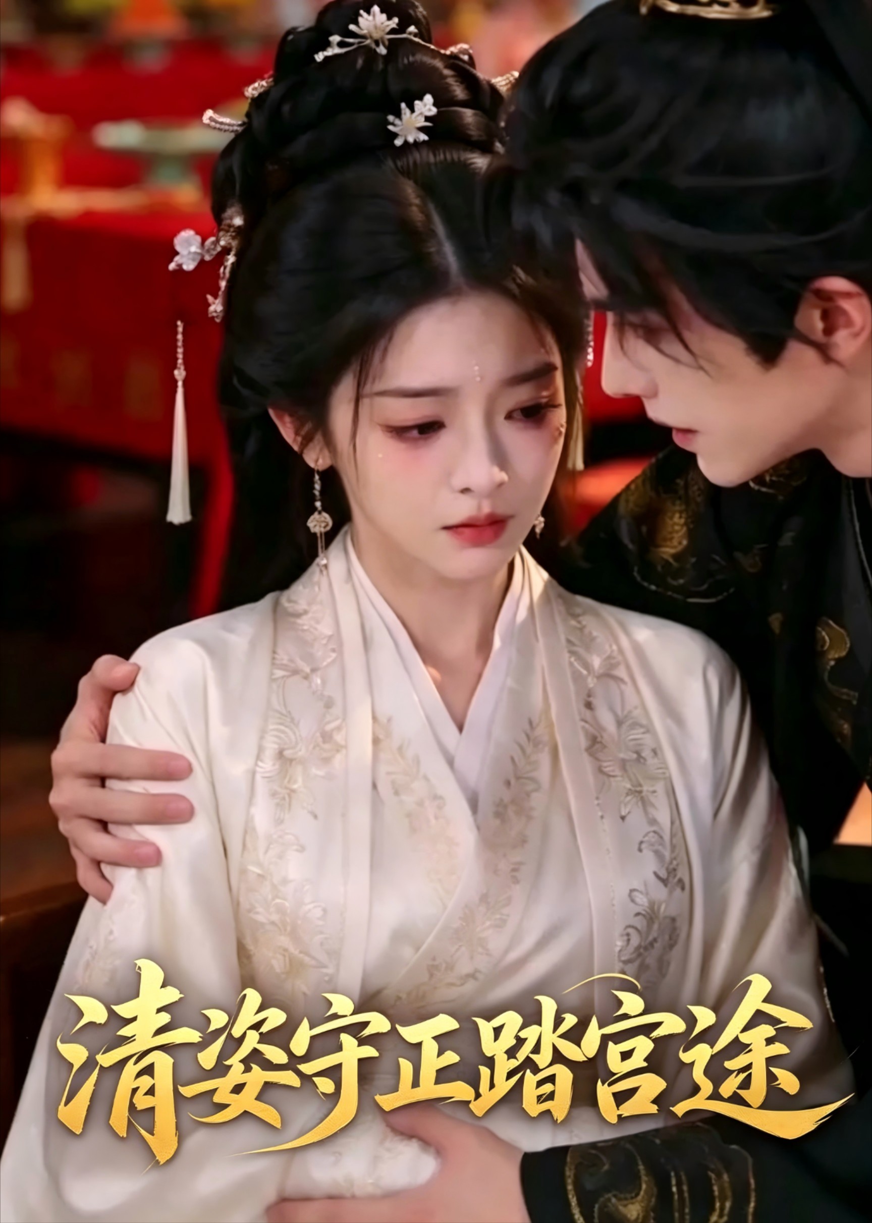 清姿守正踏宫途