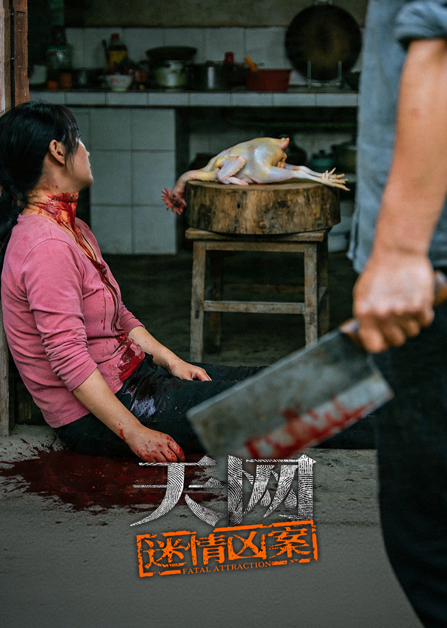天网：迷情凶案