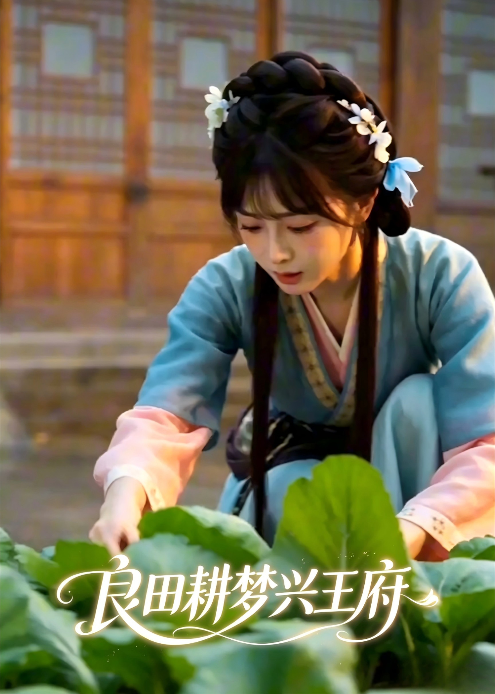良田耕梦兴王府